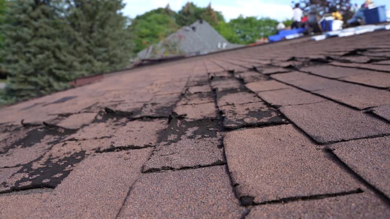Best Flat Roofing  in Shorewood, WI