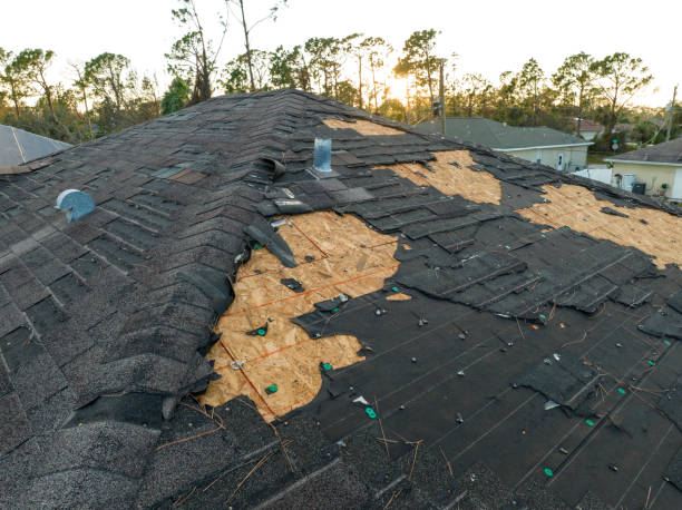 Best Wood Shake Roofing  in Shorewood, WI