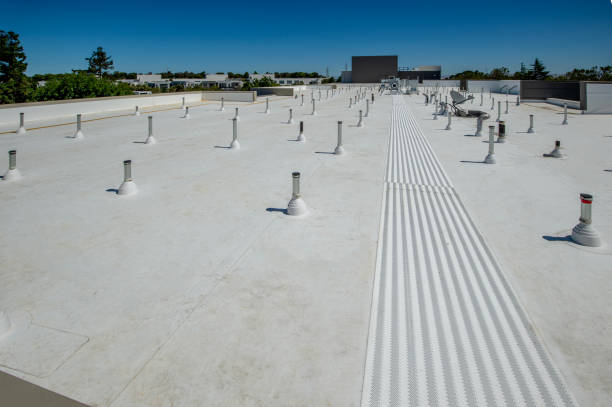Best Roof Coating and Sealing  in Shorewood, WI